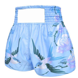 ชุดศิลปะการต่อสู้ รับทำโลโก้ตามสั่ง กางเกงมวย MMA แบบ unisex คุณภาพสูง ผลิตจากผ้าสแปนเด็กซ์/โพลีเอสเตอร์ ทนทาน น้ำหนักเบา ระบายอากาศได้ดี - Product Image 1