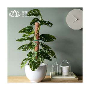 Ensemble de matériel de Plan de croissance, Totem en Fiber de Coco, poteau en mousse avec outils de jardin pour plantes grimpantes, Fiber de Coco extensible et empilable - Product Image 1