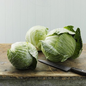 Chou Vert Frais Biologique à Vendre Qualité Premium Fournisseur Direct de la Ferme Vente en Gros Livraison Rapide Choix Sain - Product Image 6