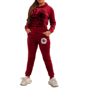 OEM <b>Women</b> Set Tracksuit Plus Size Velour Hoodie <b>Jogger</b> Tracksuit <b>Velvet</b> 2 Piece Hooded Velour Tracksuit <b>Joggers</b> Set for Girls - Product Image 6