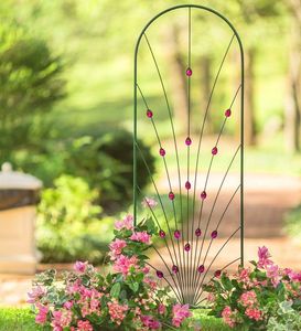 Treillis de jardin en métal, design cintré, éco-responsable, nature, chemins extérieurs, point focal, entrée de jardin, structure de soutien - Product Image 2