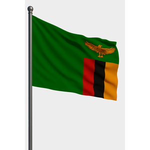 Drapeau extérieur zambien personnalisé avec impression numérique, style fanion sur mât en aluminium - Product Image 1