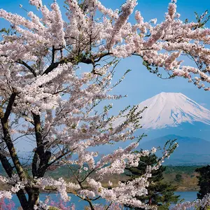 Japanese photo book "Eternal Mount Fuji" Japanese book  natural scenery