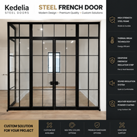 Portes d'entrée françaises modernes en métal de style européen, portes et fenêtres en acier battantes avec double vitrage