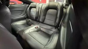 2020 Ford Shelby GT500 - Product Image 6