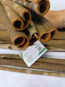 Dalchini/ Kaneel/Canela entera de Vietnam-Altos estándares, costos de exportación competitivos (WA:+ 84362512699) - Product Image 5