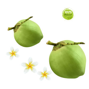 Jeune coquille de noix de coco Comment créer des alternatives laitières à base de plantes fraîchement - Product Image 3