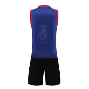 Uniformes de Voleibol Profesionales de Secado Rápido, Transpirables y Duraderos, 100% Poliéster, Nuevo Diseño, Alta Calidad - Product Image 3