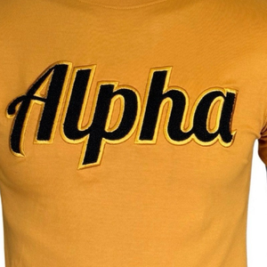 T-Shirt in ciniglia con maniche alfa anno in oro nero T-Shirt stile greco personalizzata abbigliamento da confraternita 100 cotone Premium Streetwear - Product Image 4