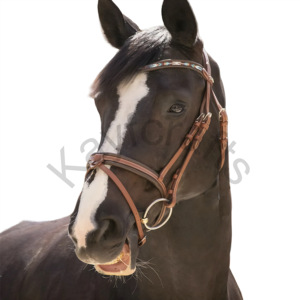 Smoothie Pearl Brow band Bridle en cuir de harnais pleine fleur avec casque anatomique rembourré - Product Image 3