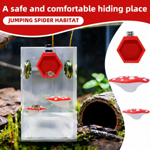 Set di 5 Pezzi Creativi Magnetici a Forma di Casa a Fungo Rossa per Terrario di Ragni Saltatori e Accessori per Piccoli Rettili - Product Image 1