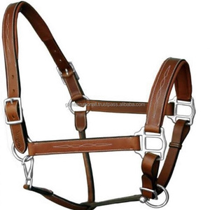 Licou de cheval anatomique fantaisie en cuir anglais de qualité supérieure avec coutures fantaisie et rembourrage licou de cheval en cuir de course de chevaux - Product Image 6