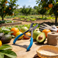 Ciseaux professionnels pour la récolte d'avocats, ciseaux de jardinage pour la cueillette de fruits, outil de taille pour la collecte d'avocats dans les fermes et vergers