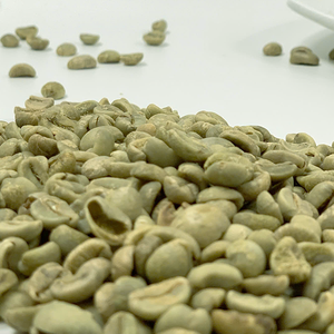 เมล็ดกาแฟสีเขียวอาราบิก้า ST18เดียวสะอาดและสม่ำเสมอสำหรับคั่วและผู้นำเข้าส่งออกจากเวียดนาม - Product Image 1