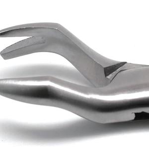 Juego de Instrumentos Quirúrgicos Dentales de Acero Inoxidable de Alta Calidad con Certificación CE, Fórceps para Extracción de Dientes, para Uso Clínico - Product Image 6