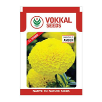 Semillas de Caléndula Ámbar Híbrida F1 de Alto Rendimiento Vokkal, 60-90cm de Altura, Ramas Abundantes, Pétalos Dobles, Flores Amarillas, 18-20g, Flores Frescas Cortadas
