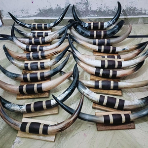 Vintage Inde Plaque Murale Décorative Argent Jante Montée Corne de Buffle Corne Montée Paire Plante Murale Vintage par tradebit - Product Image 6