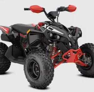 La mejor oferta 2024 C-an-Am Rene- Gad Es X C Mr 650 OEM Industrial DIY 1 año de garantía Modelo NUEVO - Product Image 4