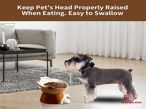 ชามอาหารสุนัขทรงกลม ยี่ห้อ Nhi Binh Plastic เวียดนาม เป็นมิตรกับสิ่งแวดล้อม ทนทาน สวยงาม ช่วยปกป้องคอ ป้องกันน้ำ ใช้ได้ทั้งในบ้านและนอกบ้าน - Product Image 2