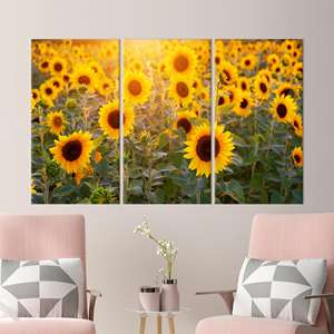 ภาพพิมพ์บนผ้าใบลายทุ่งทานตะวันสีสันสดใสสำหรับตกแต่งบ้าน,3P:ห่อหุ้มแบบแกลเลอรี่ - Product Image 1