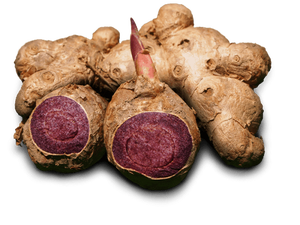 GINGEMBRE NOIR SAUVAGE/BOOST DU MÉTABOLISME/SANS ADDITIFS ARTIFICIELS - Product Image 6