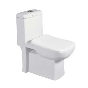 White Ceramic Floor Mounted Sanitary Ware One Piece Water Closet for Luxurious Bathroom at Affordable Price