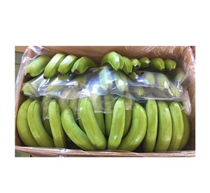 Plátano Cavendish fresco de la mejor calidad: Precios de plátano fresco de Vietnam para exportar a todo el mundo - Product Image 5