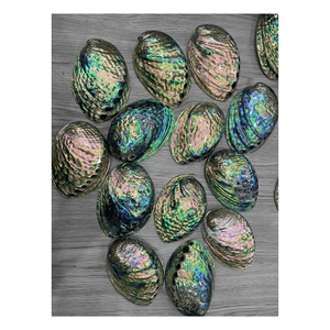 เปลือกหอยมุกขัดธรรมชาติงานฝีมือคริสตัลเปลือกหอยมุกสำหรับตกแต่งบ้าน - Product Image 4