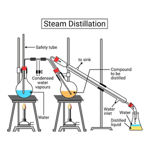 Cung Cấp Tinh Dầu <span class=keywords><strong>Myrtle</strong></span> Với Tinh Dầu Thiên Nhiên Nguyên Chất 100% Chất Lượng Cao Cấp Tinh Dầu Myrtus Communis Trị Liệu - Product Image 3