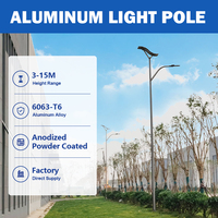 Poteau solaire en aluminium haute résistance 6061 6063 T6 pour système d'éclairage solaire tout-en-un