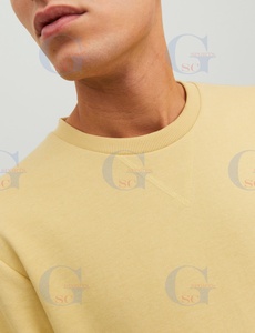Sudaderas de cuello redondo de colores atractivos para hombres, manga larga, un solo color, hecho a medida, camisa de invierno cálida en blanco, marca privada corta - Product Image 4