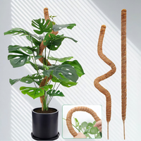 Tiges de mousse en fibre de coco pliables de 100 cm pour la maison et le jardin avec finition galvanisée, rehaussant la beauté naturelle des plantes Monstera - Vente en gros