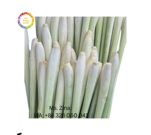 Citronnelle congelée de haute qualité IQF Citronnelle congelée Produits agricoles vietnamiens bon marché Légumes surgelés IQF - Product Image 1