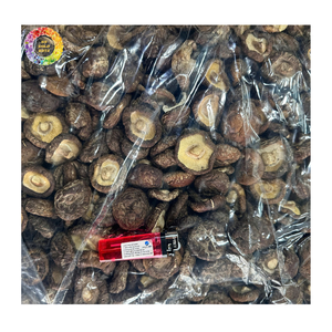 Hongos Shiitake Secos, Hongos Secos Chinos Naturales para la Elaboración de Alimentos y Distribución al por Mayor - Product Image 1