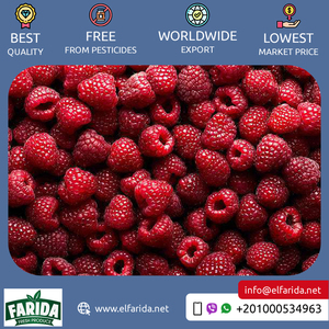 100% bayas frescas de frambuesa egipcia de grado premium Puras y Naturales, fruta dulce y deliciosa de buena calidad - Product Image 4