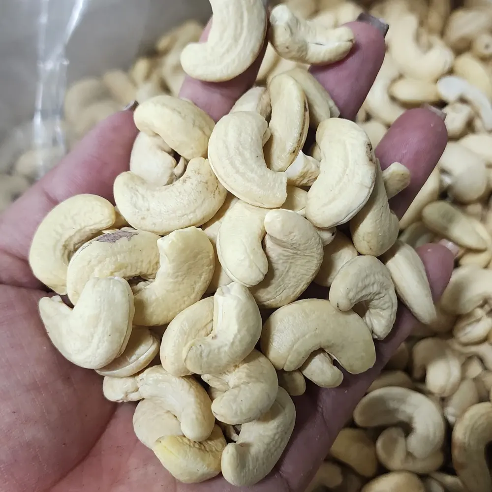 Gemaakt In Vietnam Cashewnoten Vietnam Product Cashewnoten Van Santigo Bedrijf Vietnam