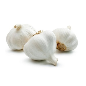 กระเทียมผักสด - Product Image 4