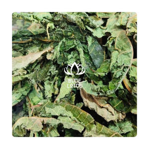 Caliente de alta calidad 100% hojas de papaya secas naturales de semillas de papaya de Loto Azul para hacer té Blue Lotus Ms Amelia + 84 855014447 - Product Image 6