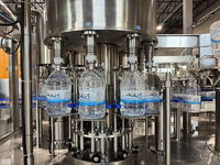 Machine de remplissage et d'embouteillage d'eau minérale entièrement automatique de 3 à 10 L pour usine de bouteilles en PET