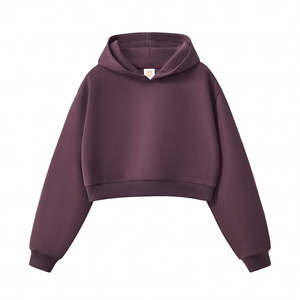 Premium personnalisé brodé poids lourd femmes recadrée sweats à capuche Streetwear mode Gym tenue décontracté pull à capuche en coton - Product Image 6