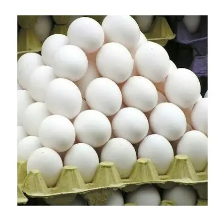 थोक आपूर्तिकर्ता के थोक ताजा स्टॉक के सफेद/ब्राउन खोल ताजा तालिका चिकन अंडे