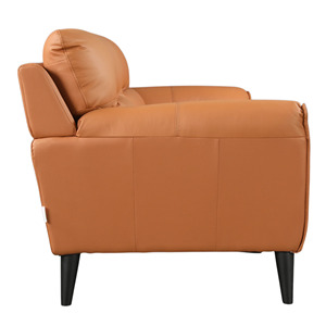 Sofá de Cuero Sintético PU Luise Brown Musesa con Tapicería de Terciopelo, Sofá de Dos Plazas Moderno para Sala de Estar, Patas de Madera, Brazos con Almohadillas - Product Image 4