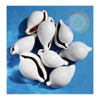 Fourniture en gros de coquillages Ovula Ovum de qualité supérieure-Coquilles d'oeufs cauri exquises une finition naturelle brillante pour l'artisanat à grande échelle