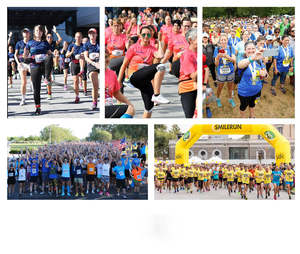 Vente en gros bas quantité minimale de commande impression complète hommes Sport Run TShirt personnalisé polyester Dry Fit Sublimation 3D imprimé à manches courtes T-Shirt - Product Image 5