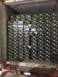 กล้วยสดสดและอร่อยกล้วย Cavendish-เหมาะสำหรับอาหารว่างและการอบสดใหม่การเกษตรกล้วยหวานสไตล์หวาน - Product Image 6