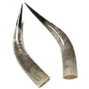 Cornes à boire Viking avec support en corne de buffle - Product Image 5