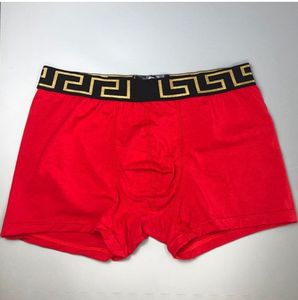 El último diseño de color sólido elaborado con materiales de alta calidad Pantalones cortos de gimnasio de primera calidad Más vendidos y de alta demanda - Product Image 5