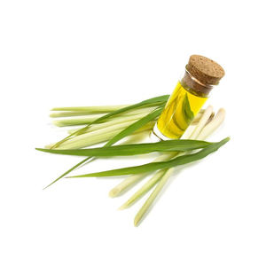 น้ำมันนวดตะไคร้หอมระเหยบริสุทธิ์100% โรงงาน - Product Image 1