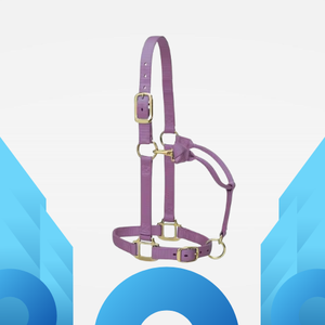 Halter cheval en nylon noir style indien avec selle australienne et occidentale - Product Image 4