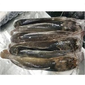 Bevroren Vis Chinese Meerval Groothandel Afrikaans Voedsel Hele Ronde Grote Maat Bevroren Meerval Kweek - Product Image 2